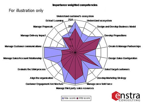 SalesandMarketingAuditSpiderdiagram 000