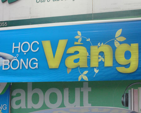 hoc-bong-vang