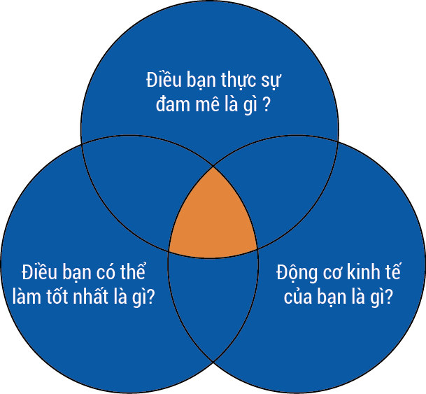 chiến lược con nhím